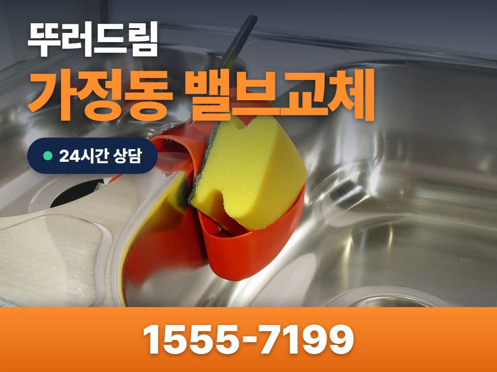 가정동 밸브교체 현장
