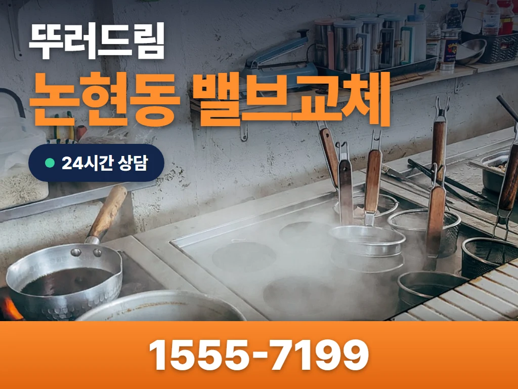 논현동 밸브교체 현장